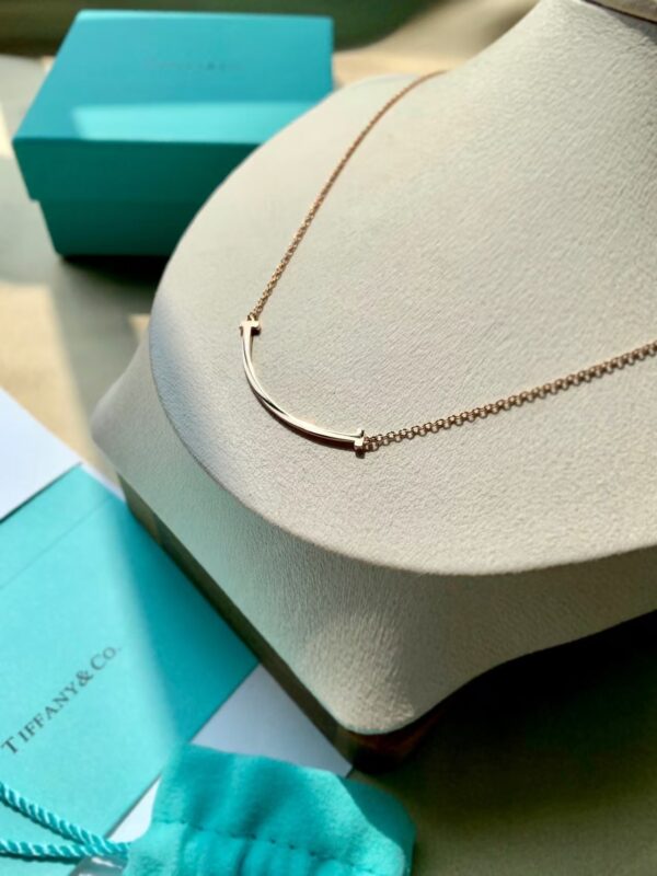 Veloura Smile Curve Necklace